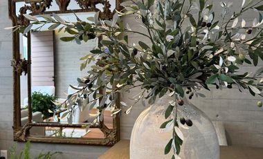 Casa en Venta de Town House en Antonio Noemí, Contadero, P