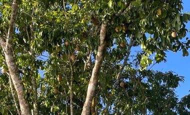 Casona en venta a 30 minutos de Valladolid