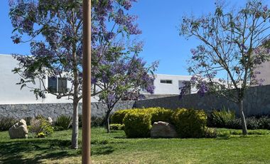 Terreno - Fraccionamiento Rancho Santa Mónica