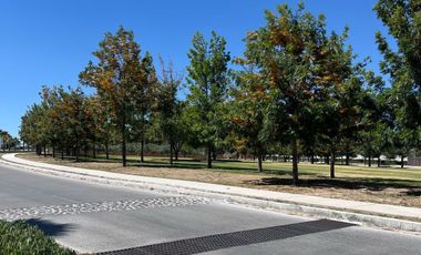 Terreno - Fraccionamiento Rancho Santa Mónica