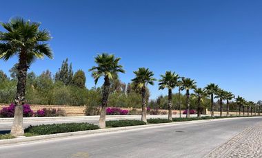 Terreno - Fraccionamiento Rancho Santa Mónica