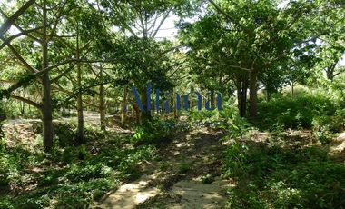 Terreno - San Pedro Pochutla