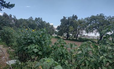 TERRENO LAS ANIMAS OZUMBILLA