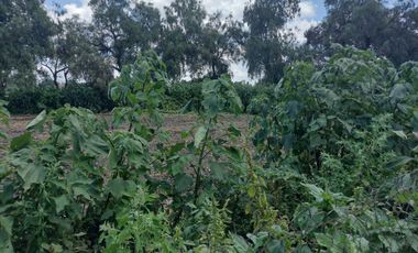 TERRENO STA. MARÍA OZUMBILLA TECÁMAC, EDO. MÉX. SUP.  2,669m2