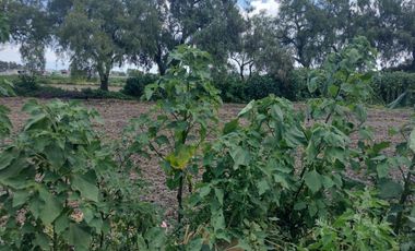 TERRENO LAS ANIMAS OZUMBILLA