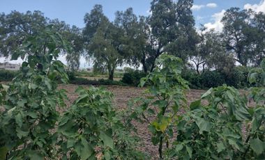 TERRENO LAS ANIMAS OZUMBILLA