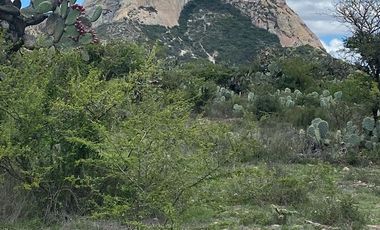 Terreno en  Bernal, Querétaro. Sup. 2,047.15 m2
