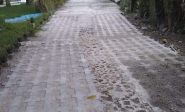 Terreno - Bugambilias