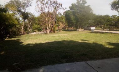 Terreno - Bugambilias