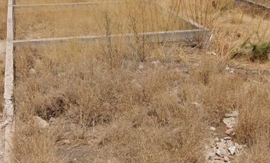 Terreno en Rancho o rancheria Las Animas, Pabellón de Arteaga, Aguascalientes