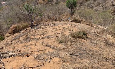 Terreno - Rancho o rancheria Puerto Angel
