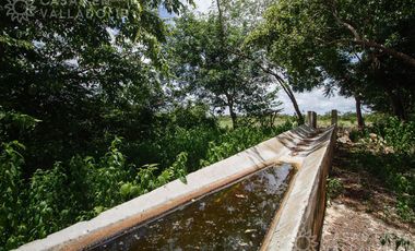 Amplio rancho en venta cerca de Valladolid