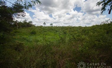 Amplio rancho en venta cerca de Valladolid