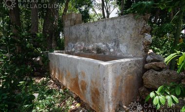 Amplio rancho en venta cerca de Valladolid