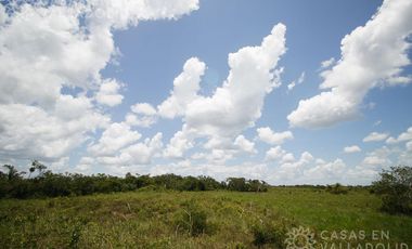 Amplio rancho en venta cerca de Valladolid