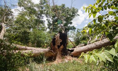 Amplio rancho en venta cerca de Valladolid