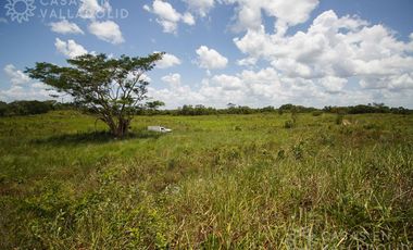 Amplio rancho en venta cerca de Valladolid