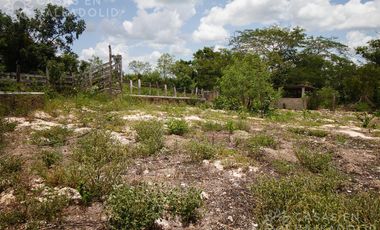 Amplio rancho en venta cerca de Valladolid