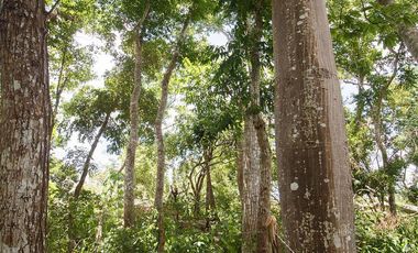 Amplio rancho en venta cerca de Valladolid