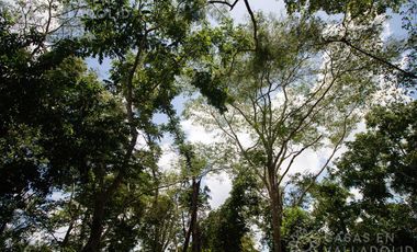 Amplio rancho en venta cerca de Valladolid