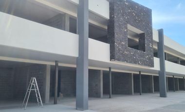 Local - Zona industrial Parque Industrial Chichimeco