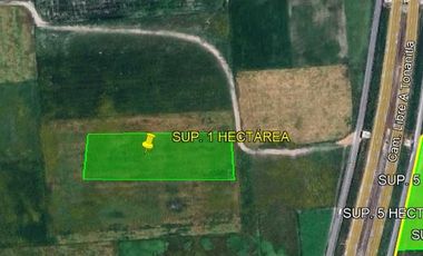 Terreno en  EDO MEX, NEXTLALPAN, CTO EXT. MEXIQUENSE, CP.55794 sup. 1 Hectárea