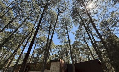 Casa en  Venta en Tapalpa, Jalisco