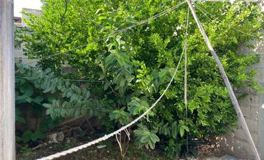 Casa en venta en Flor Campestres