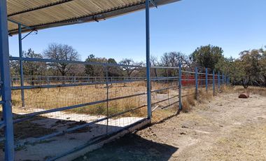 Rancho en Rancho o rancheria La Congoja, San José de Gracia, Aguascalientes.