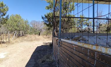 Rancho en Rancho o rancheria La Congoja, San José de Gracia, Aguascalientes.