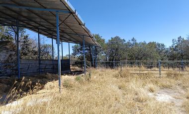 Rancho en Rancho o rancheria La Congoja, San José de Gracia, Aguascalientes.