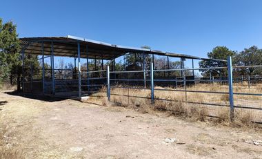 Rancho en Rancho o rancheria La Congoja, San José de Gracia, Aguascalientes.