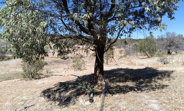 Rancho en Rancho o rancheria La Congoja, San José de Gracia, Aguascalientes.