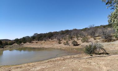 Rancho en Rancho o rancheria La Congoja, San José de Gracia, Aguascalientes.