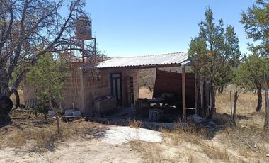 Rancho en Rancho o rancheria La Congoja, San José de Gracia, Aguascalientes.