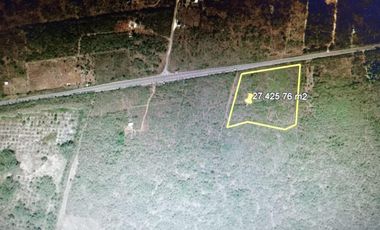 Terreno Sobre Carretera a Cancún, en el Municipio de Tixpehual