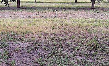 Oportunidad de Rancho Nogalero en? Cd. Camargo, Omma