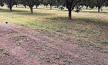 Oportunidad de Rancho Nogalero en? Cd. Camargo, Omma