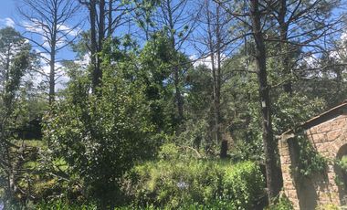 Terreno en Gabriel Pastor