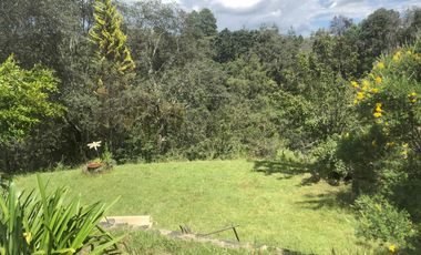 Terreno en Gabriel Pastor