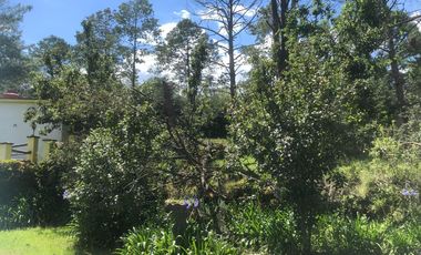 Terreno en Gabriel Pastor