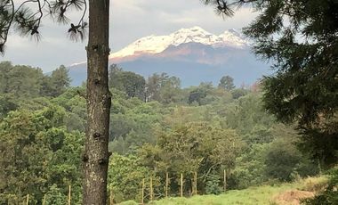 Terreno en Gabriel Pastor