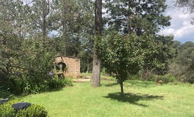 Terreno en Gabriel Pastor