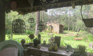 Terreno en Gabriel Pastor