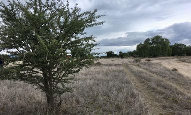 Terreno en  Zumpango, Edo. de Méx. Sup. 70 Hectáreas.