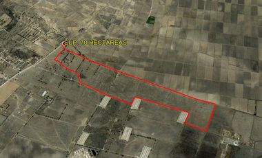 Terreno en  Zumpango, Edo. de Méx. Sup. 70 Hectáreas.