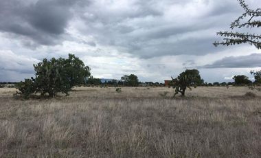 Terreno en  Zumpango, Edo. de Méx. Sup. 70 Hectáreas.