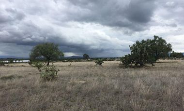 Terreno en  Zumpango, Edo. de Méx. Sup. 70 Hectáreas.