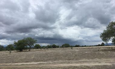 Terreno en  Zumpango, Edo. de Méx. Sup. 70 Hectáreas.