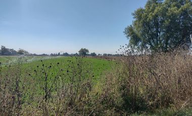Terreno en Zumpango, Estado de México. Sup. 6,247.56 m2